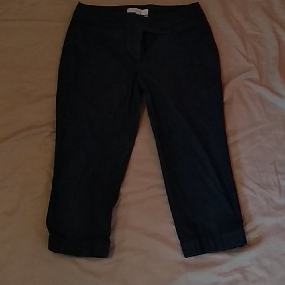 Loft Dress Pants